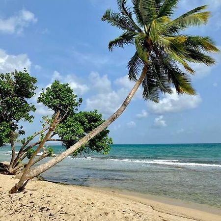 Agréable T2 à 5 min des plages Appartamento Sainte-Luce Esterno foto